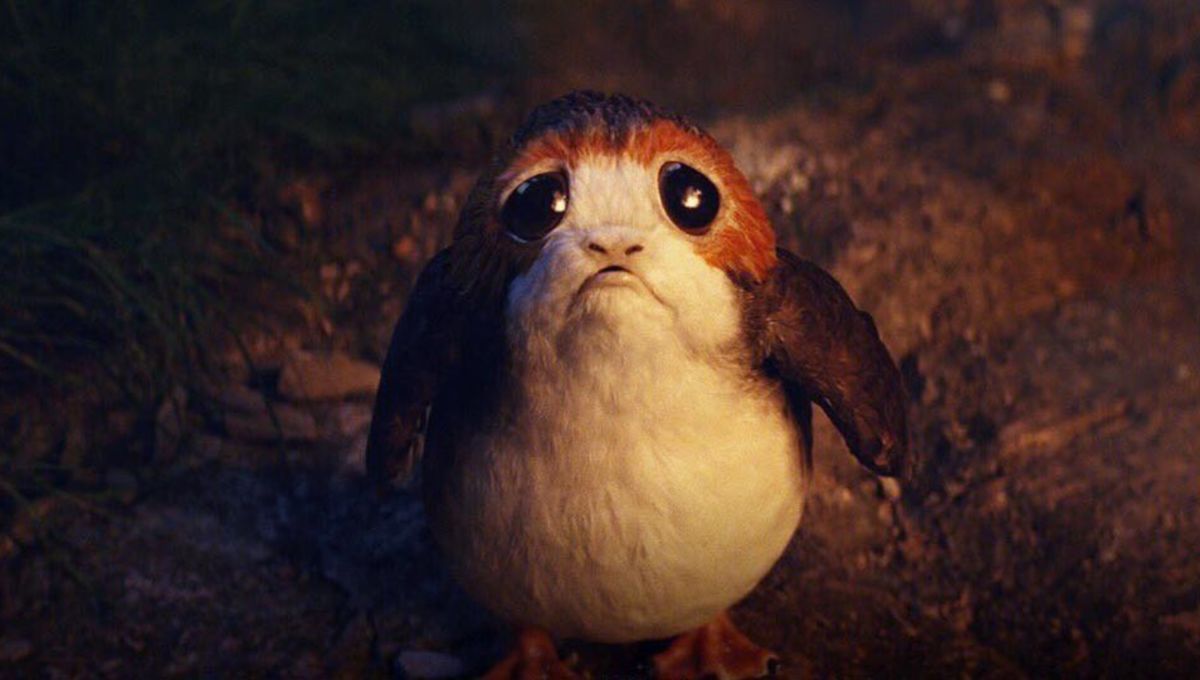 star wars porg