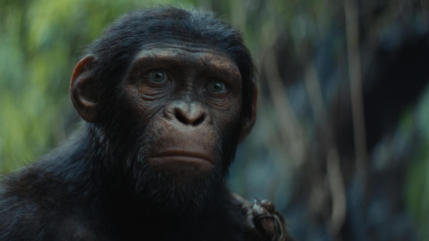 box office usa venerdì il regno del pianeta delle scimmie