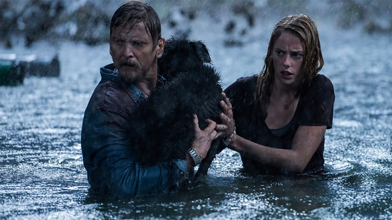 Crawl film horror in arrivo sequel